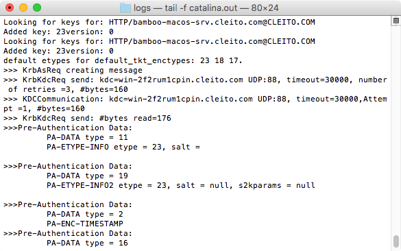 Kerberos logs