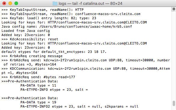 Kerberos logs