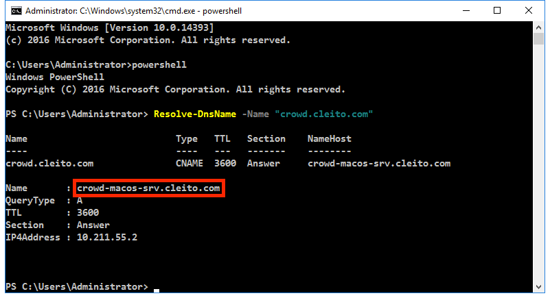 Crowd hostname Resolve-DnsName - Step 5