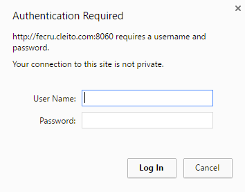 Basic Authentication