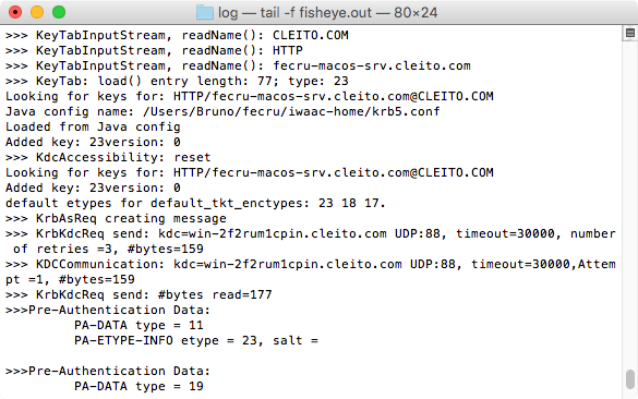 Kerberos logs