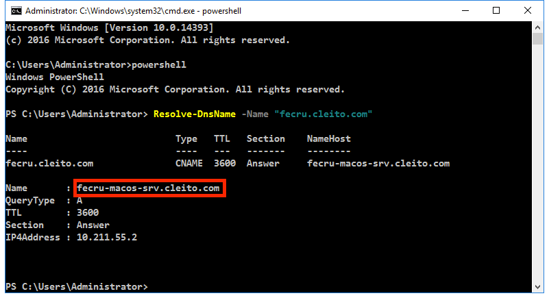 FishEye/Crucible hostname Resolve-DnsName - Step 5