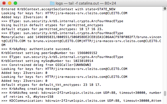 Kerberos logs