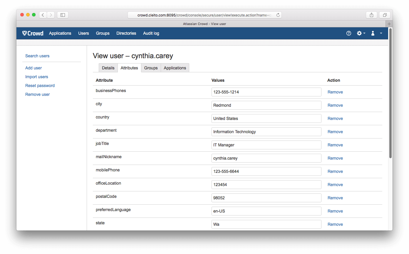 Crowd custom attributes