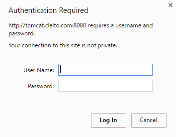 Basic Authentication