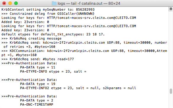 Kerberos logs